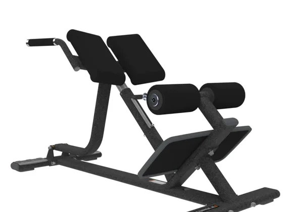 Back Extension Bench