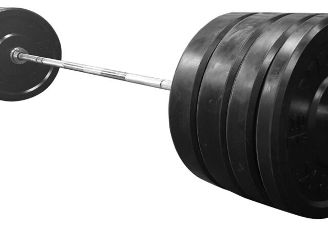 Rubber Training Bumper Plate Set (Metric)