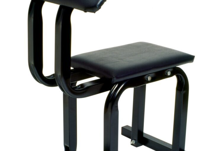 Seated Curl Bench